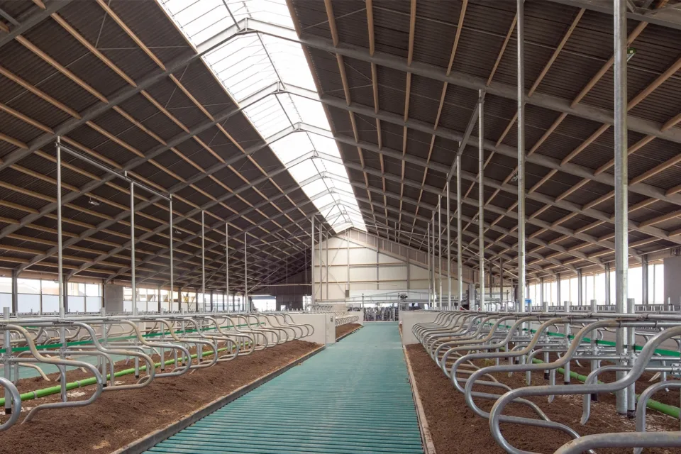 intérieur d'une étable moderne avec enclos et litière naturelle